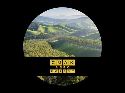 Miniatura_CMAK 