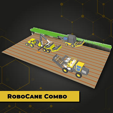 RoboCane Combo