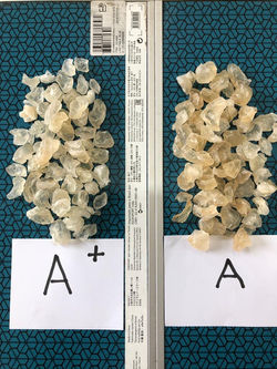 GUM KARAYA