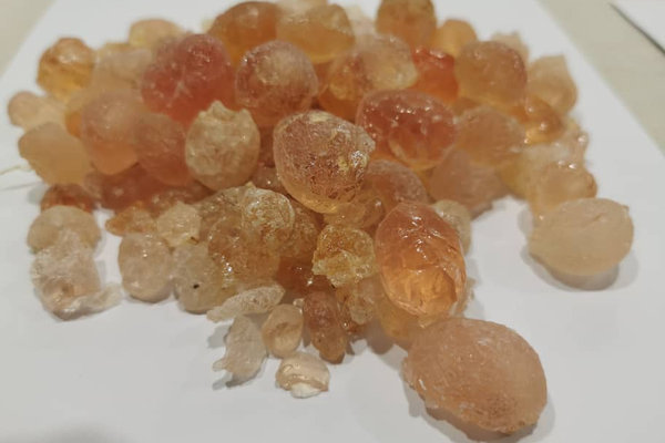 Gum Hashab Grade 1 · Sorted Grade