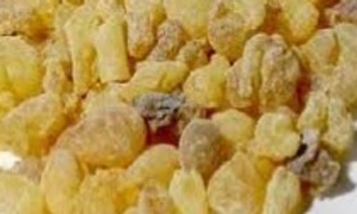 Olibanum Frankincense