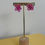 Thumbnail: EARRINGS DARKPINK BLOOM