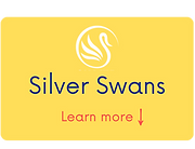 Silver Swans Button