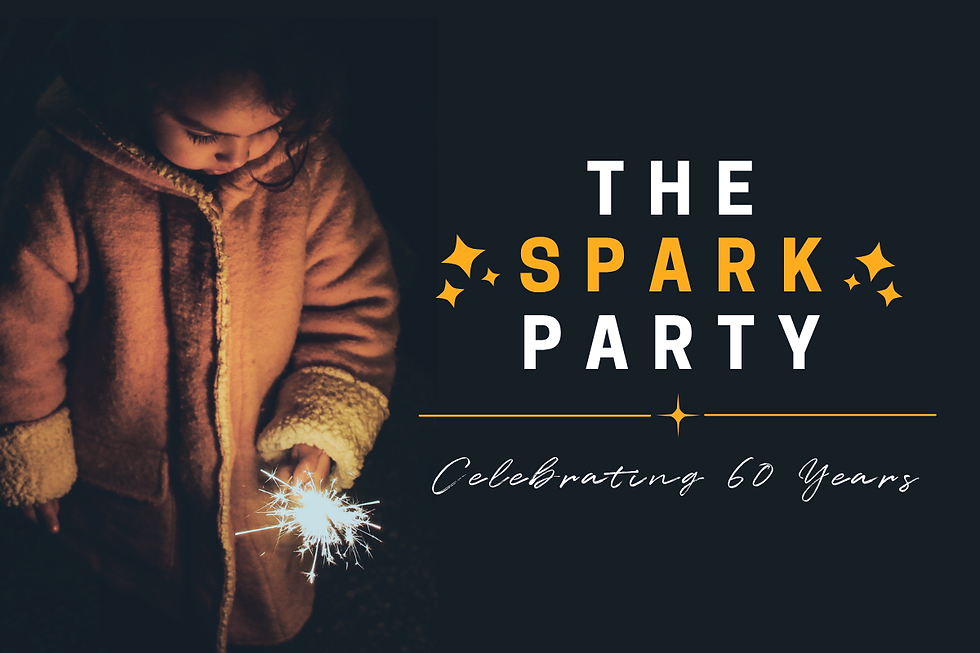 The Spark Party (1).png
