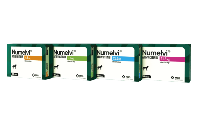 Apoquel, Zenrelia oder Numelvi?