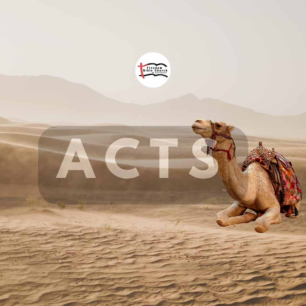 Acts 28 NKJV | Aaron Estes