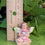 Thumbnail: Fiddlehead Fairy Garden Miniature Tiny Fairies Set of 4 Mari Petal Bella Rosie