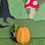Thumbnail: Miniature Frog with Jack o' Lantern Pumpkin Figure
