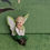 Thumbnail: Fiddlehead Fairy Garden Tiny Mini Miniature Acorn the Fairy Boy