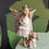 Thumbnail: Miniature Hand Painted Fairy Walking Dog Pick Choice of Hair Color Fairy Garden