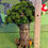 Thumbnail: Wise Old Tree with Greenman Face 8.5" Tall Fairy Garden Gnome Troll