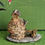 Thumbnail: Fiddlehead Fairy Garden Micro Miniature Cairn Troll House 1.625" Tall NEW in Pkg
