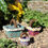 Thumbnail: Miniature Fairy Garden Daisy Baskets (Set of 3)