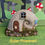 Thumbnail: Miniature Shell House Solar Powered Nautilus Shell Fairy Gnome Mermaid Garden