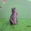 Thumbnail: Miniature Kyle the Kitty Cat Kitten