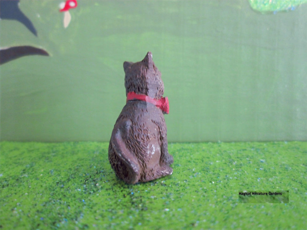 Thumbnail: Miniature Kyle the Kitty Cat Kitten