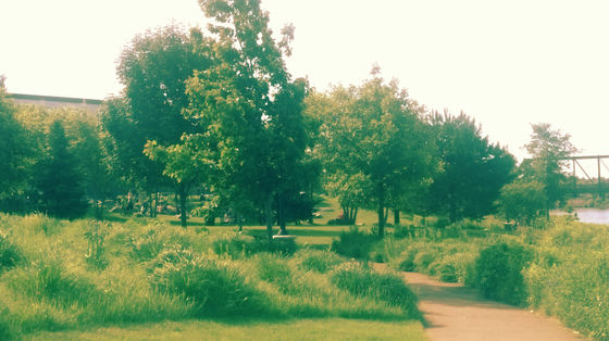 Summer River City Park
