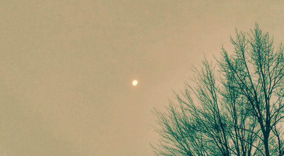 Hazed Autumn Daymoon