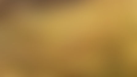 Golden Land Waves