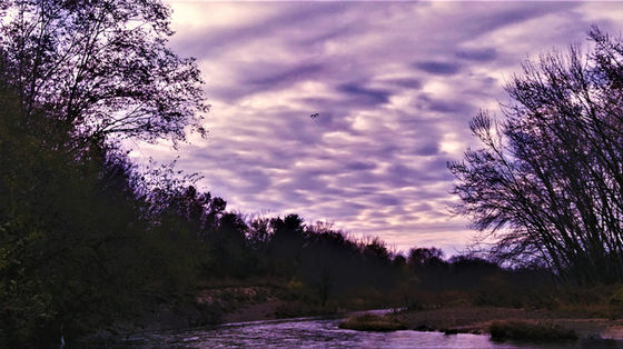 Flying Over a Riverway