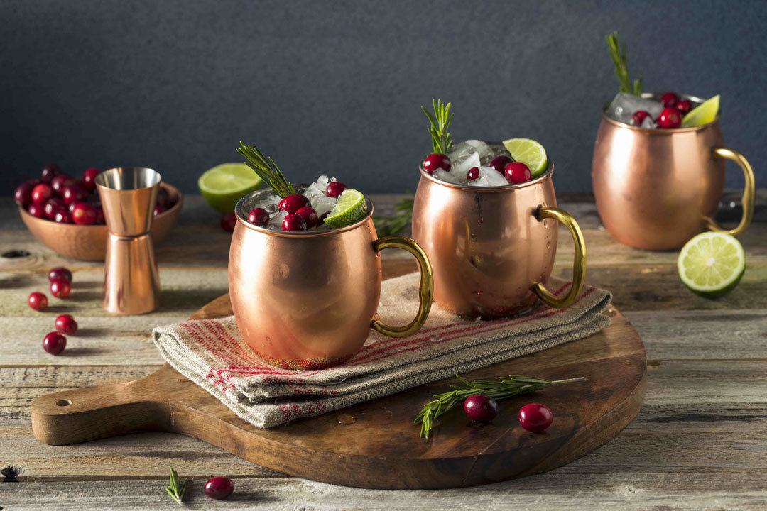 cranberry-moscow-mule-recipe-toddi-vodka