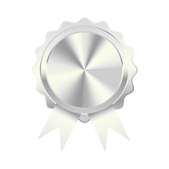 Silver Medal Party Package