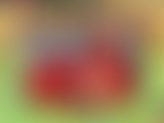 Württembergischer Hallenmeister 