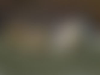 Nächster Heimspieltag in Untermünkheim