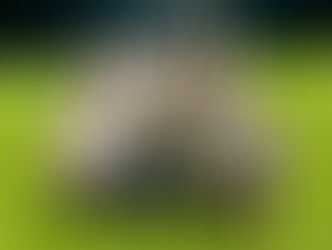 B-Juniorinnen TURA Untermünkheim – SGM TSV Crailsheim/Onolzheim 6:1