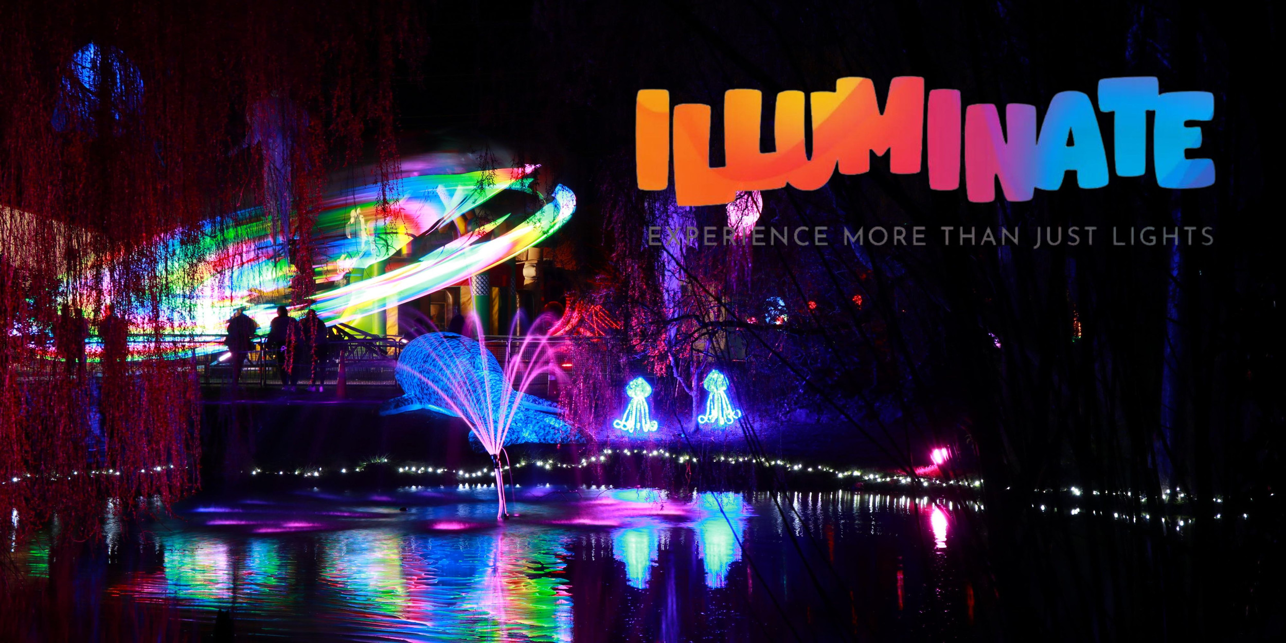 Illuminate Light & Sound Experience | Illuminate New Zealand