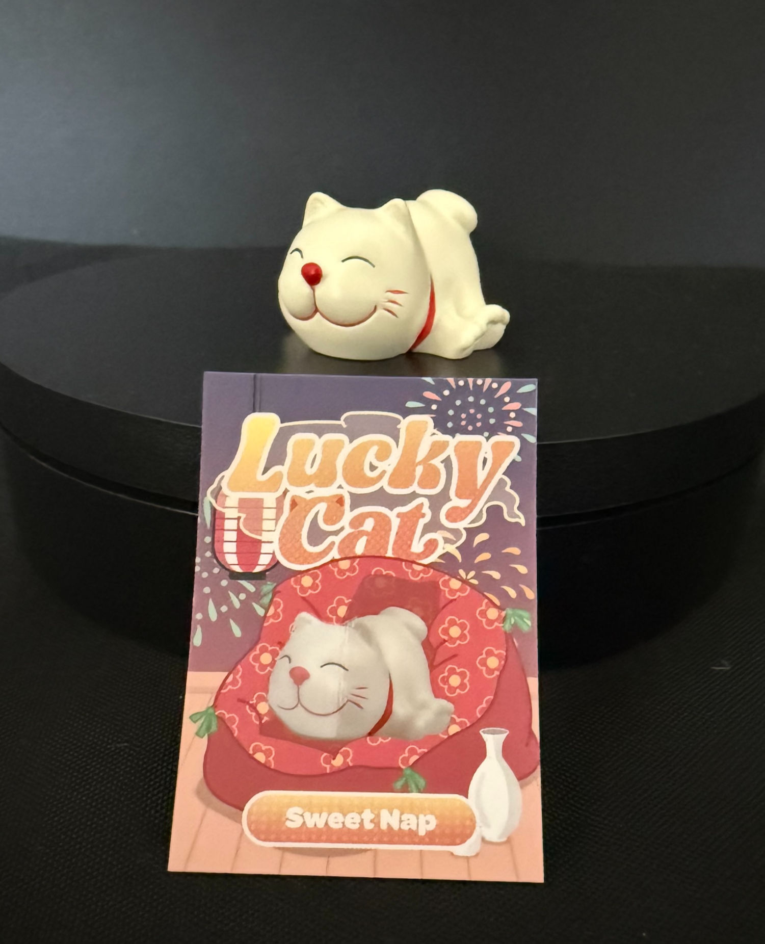 KENJI - Tomi Lucky Cat - open box display