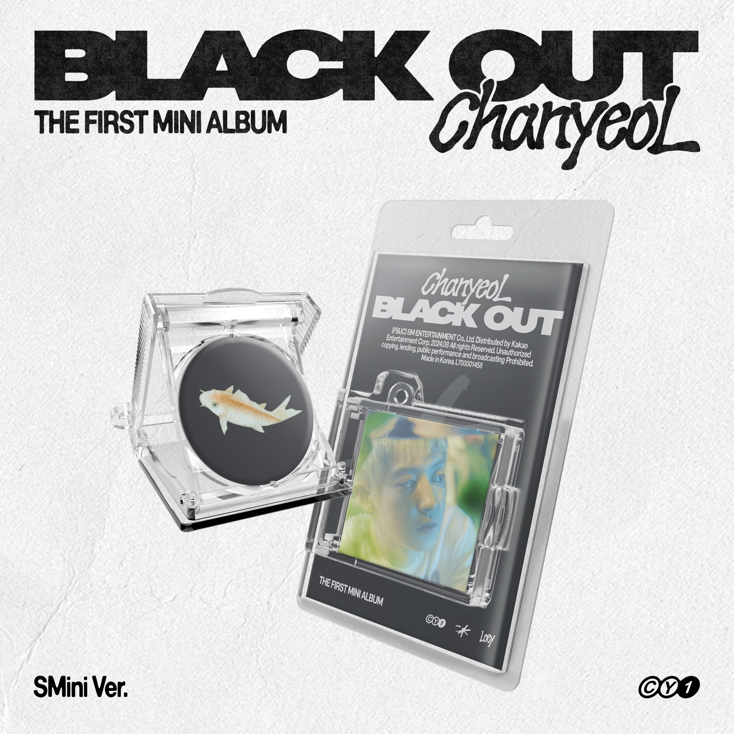 CHANYEOL - Black Out (SMini ver)