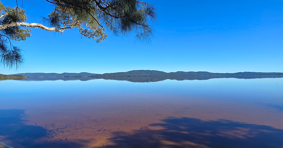 Camp Elim Design Header (600 x 180 px) (1200 x 630 px) (1).png