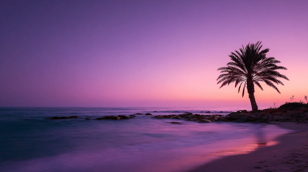 Amethyst Palm (2560×1440 PNG) – Työpöytä 16:9