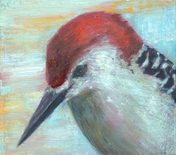 Little Woodpecker