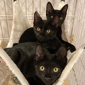 IMG_6156 2_edited.jpg