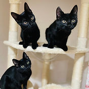 IMG_6156 2_edited.jpg