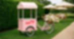 "A pastel pink ice cream tricycle cart with a striped canopy and the words 'Happy Day!' on the side, decorated with a basket of white and blush flowers, set on a green lawn with elegant outdoor tables in the background."
