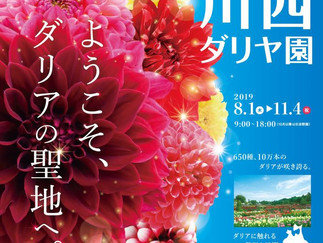 【置賜観光案内】川西町ダリア園