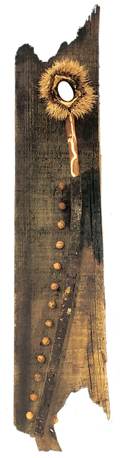 ChestnutOvum.1.png