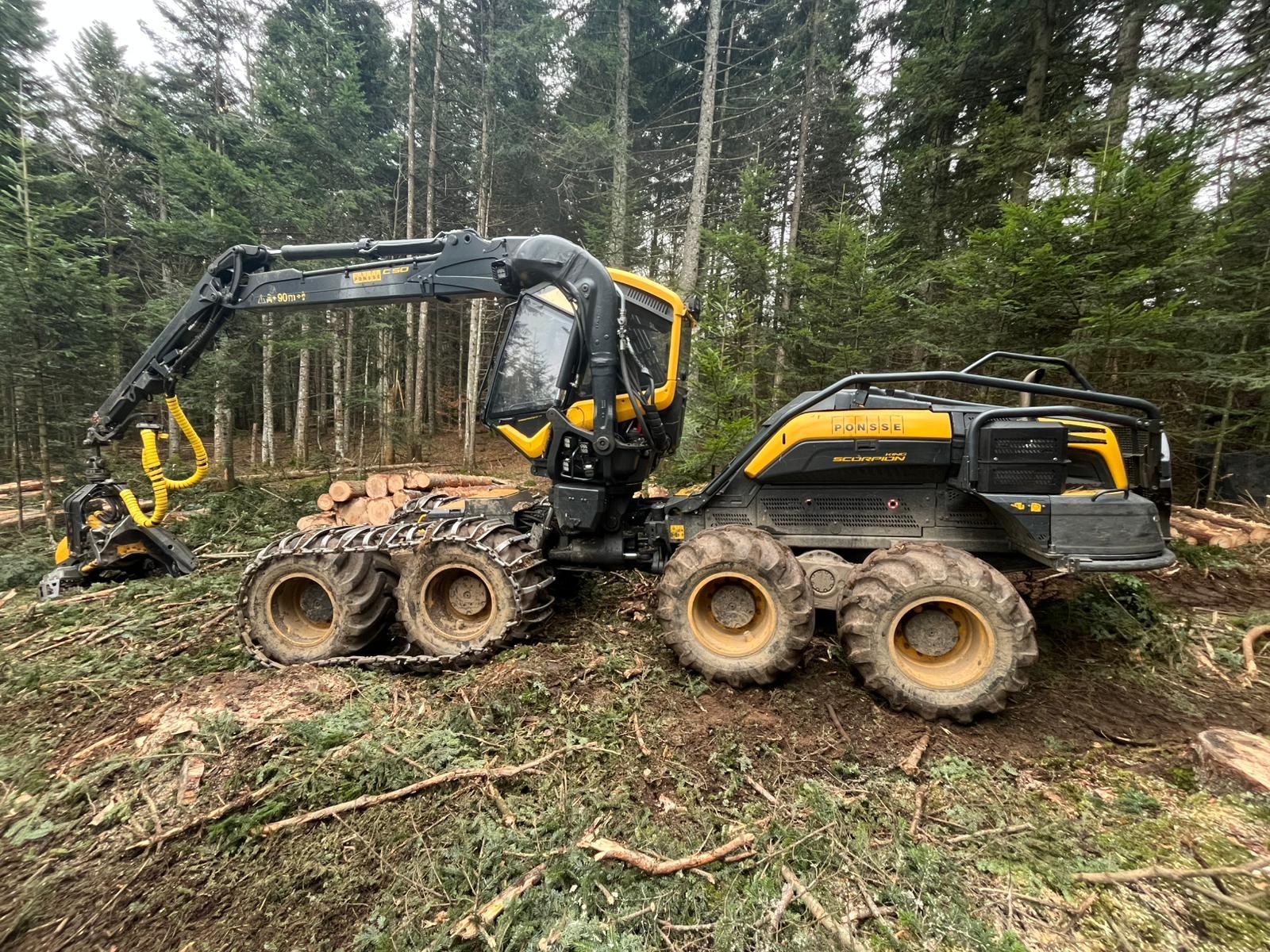 PHOTO-2025-02-03-16-10-43 4.jpg