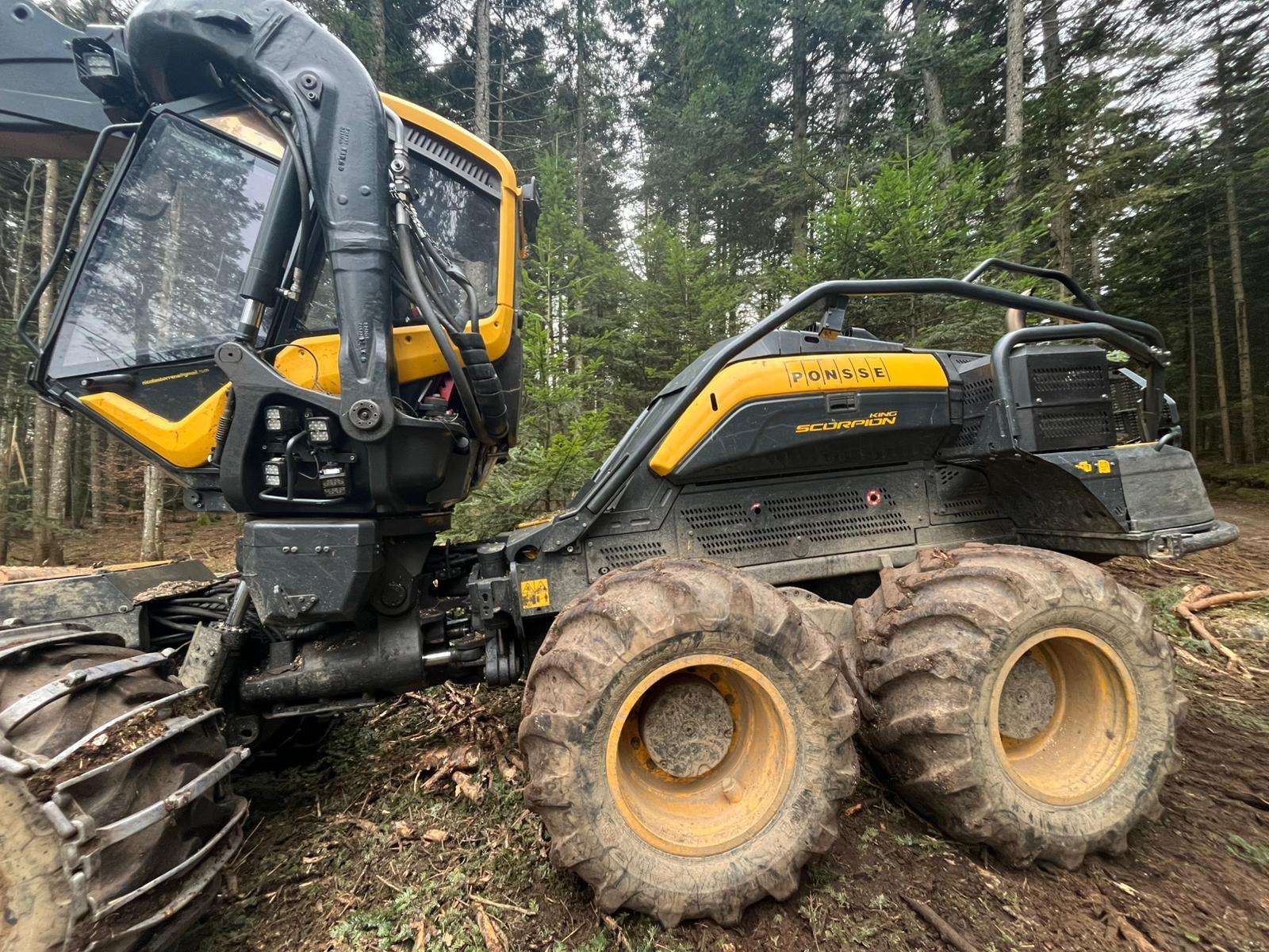 PHOTO-2025-02-03-16-10-43 2.jpg