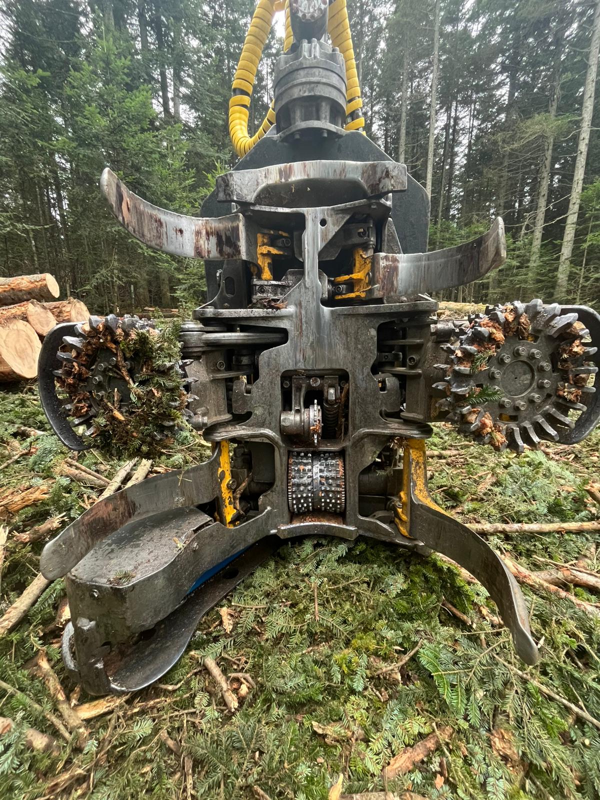 PHOTO-2025-01-24-17-08-33 3.jpg