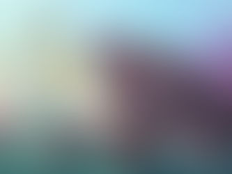 Hippo whales accumulate 1.26 billion tokens 