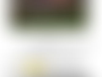 Voetbaltoernooi 15 juli