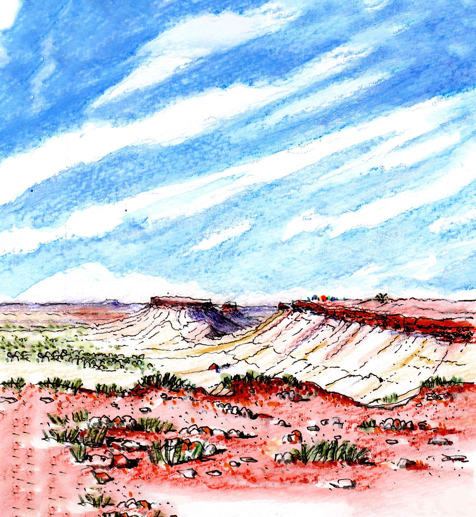 The Breakaways, Kanku-Breakaways Conservation Park