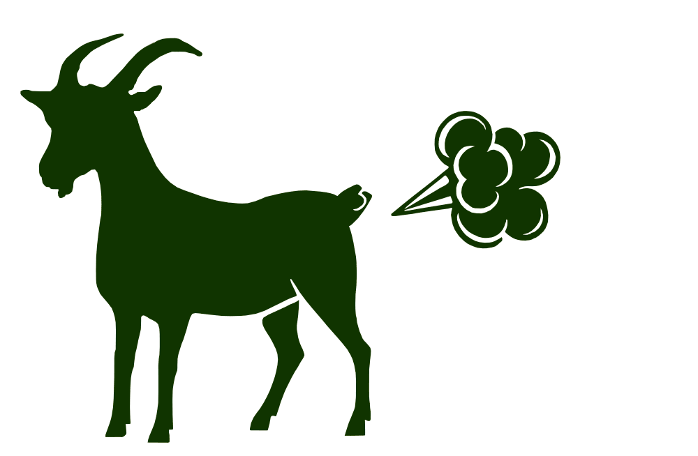 animation_1.gif