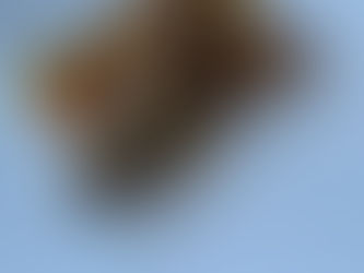 Patrón...Le tengo su almuerzo