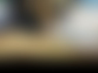 CUENTOS SOBRE EL CAPI Y EVA LUNA