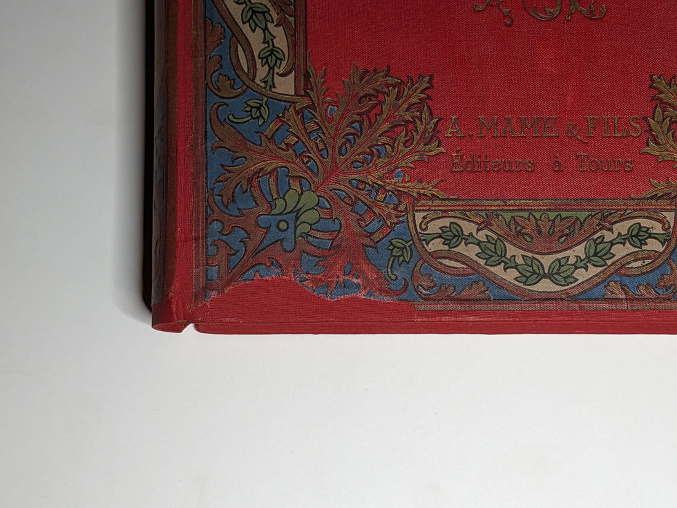 PXL_20240310_182332564